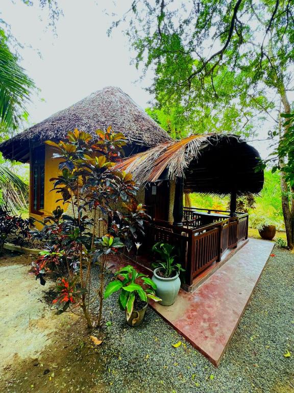 Turtle Watch Cabana - 12