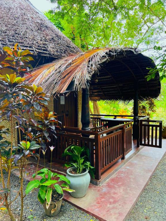 Turtle Watch Cabana - 11