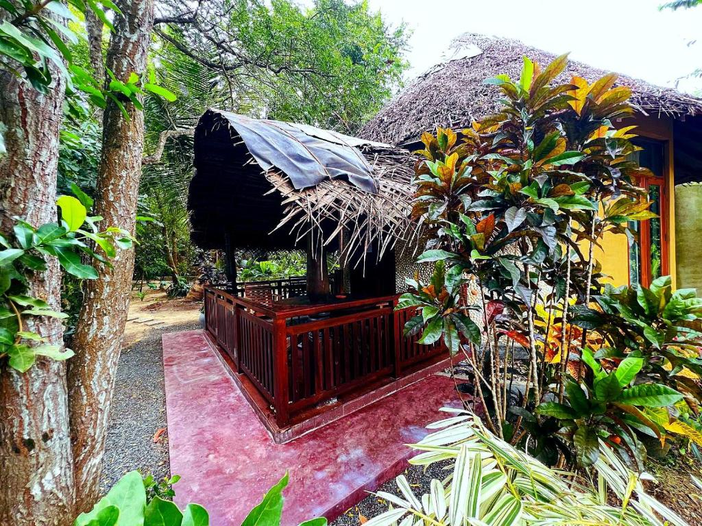 Turtle Watch Cabana - 10