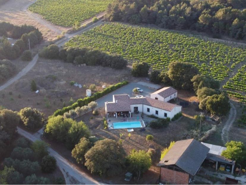 an aerial view of a house in a vineyard at Beautiful architectural villa 10 pool beds in Laure-Minervois