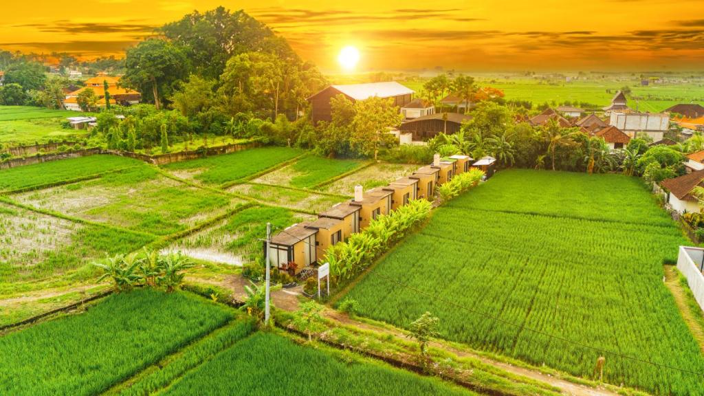 une vue aérienne d'une maison sur un champ vert dans l'établissement Wander Havens, à Canggu