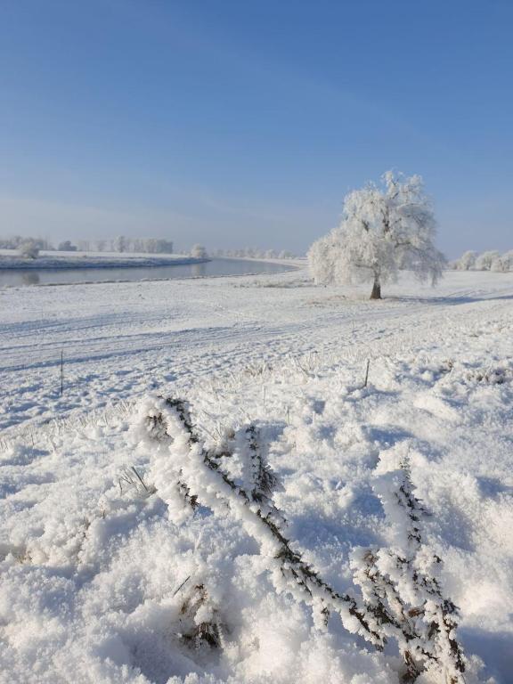 Pension Weitblick v zimě