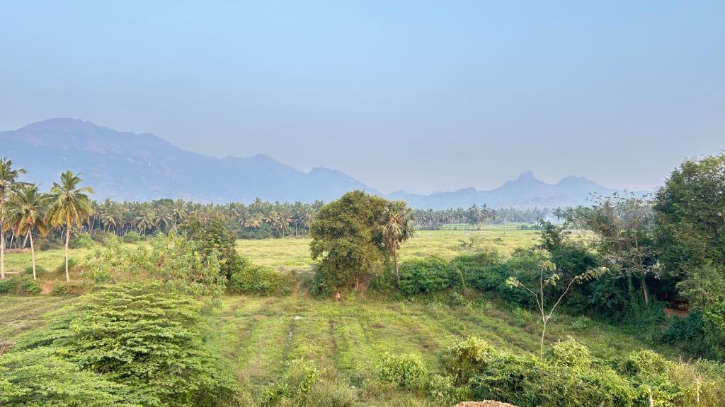 Φωτογραφία από το άλμπουμ του The Green Home with Mountain View on the way KK-TVM Highway σε Padmanābhapuram