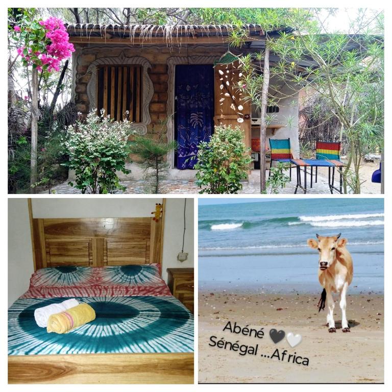 Guesthouse JUNGLE & OCÉAN ABÉNÉ 2