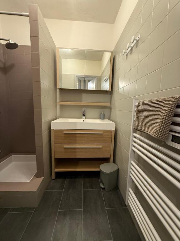 łazienka z umywalką i lustrem w obiekcie Appartement T2 vue sur la rivière avec garage privatif - Port de Saint-Goustan w mieście Auray