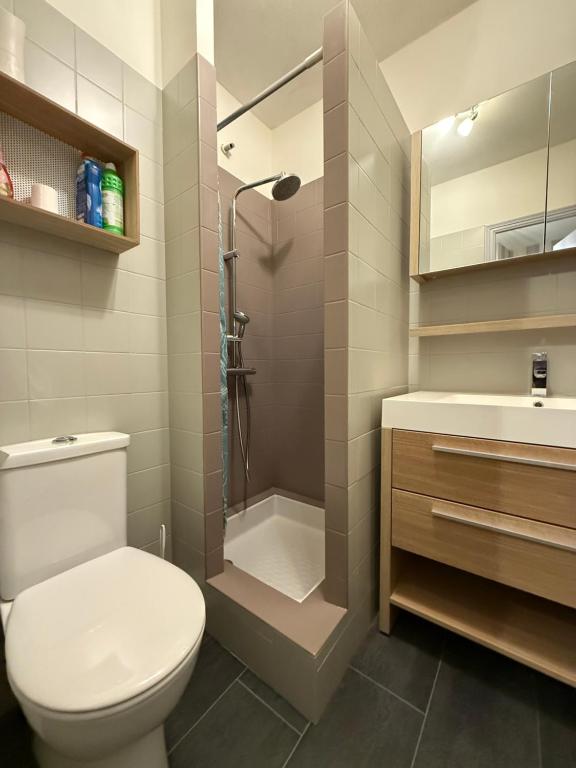 łazienka z toaletą, prysznicem i umywalką w obiekcie Appartement T2 vue sur la rivière avec garage privatif - Port de Saint-Goustan w mieście Auray