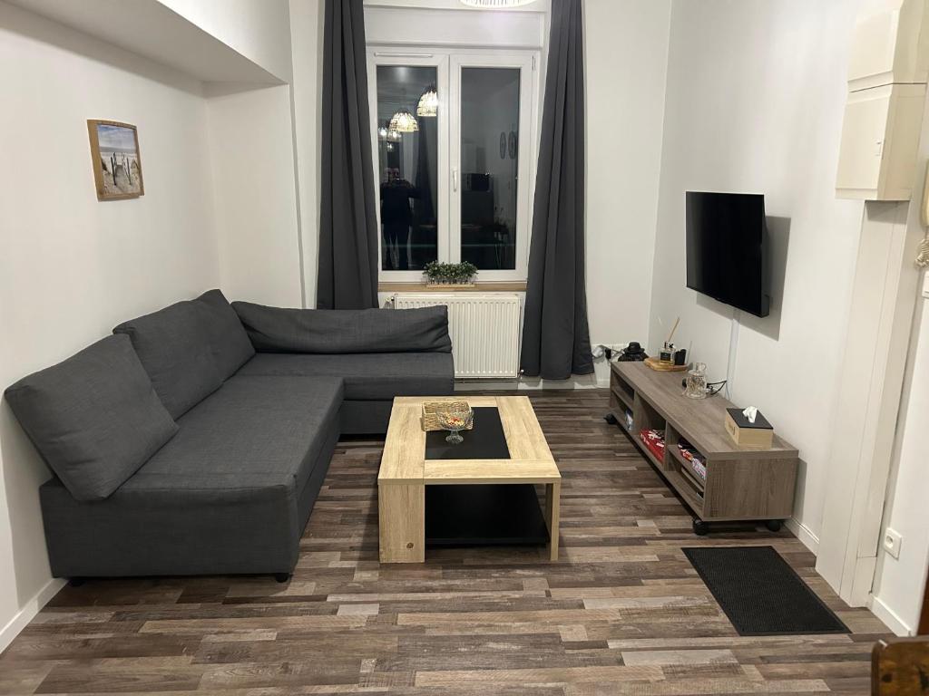 a living room with a couch and a coffee table at Appartement bord de seine in Orival