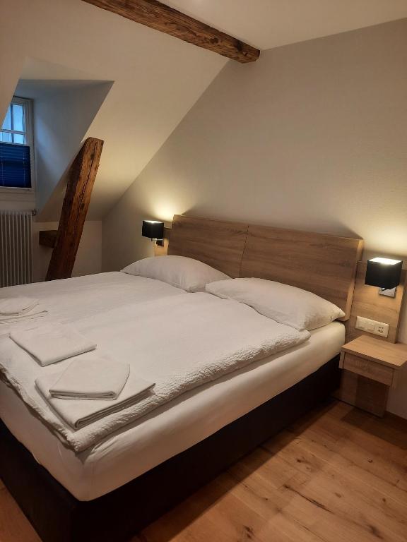 Apartments Greifengasse - Managed by Hotel Rheinfelderhof - Resim 6