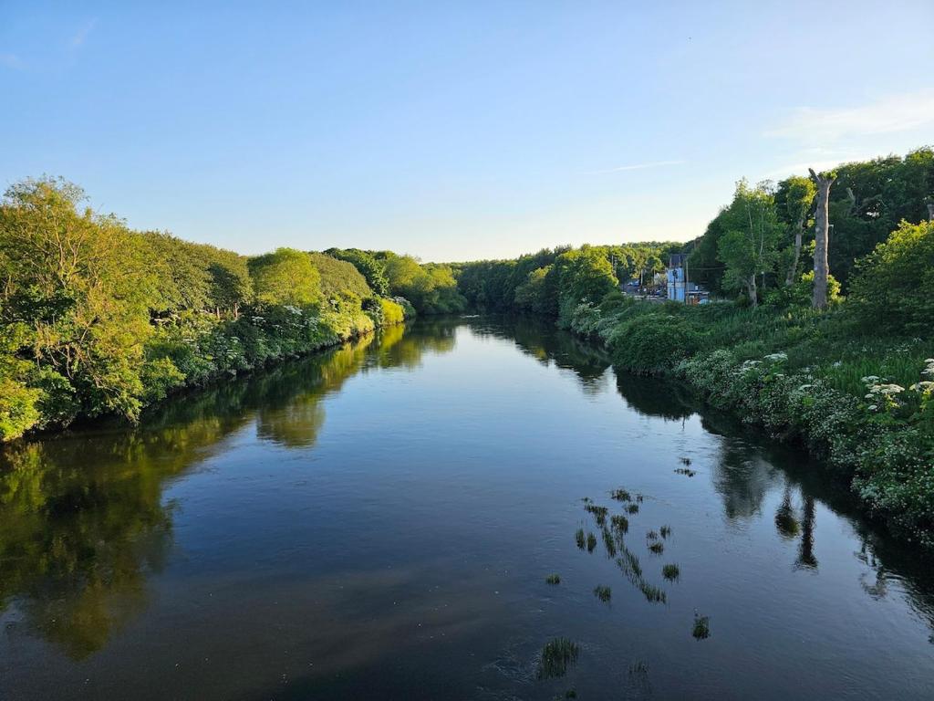 a river with trees on both sides of it at Your Home from Home - River bank in Cox Green
