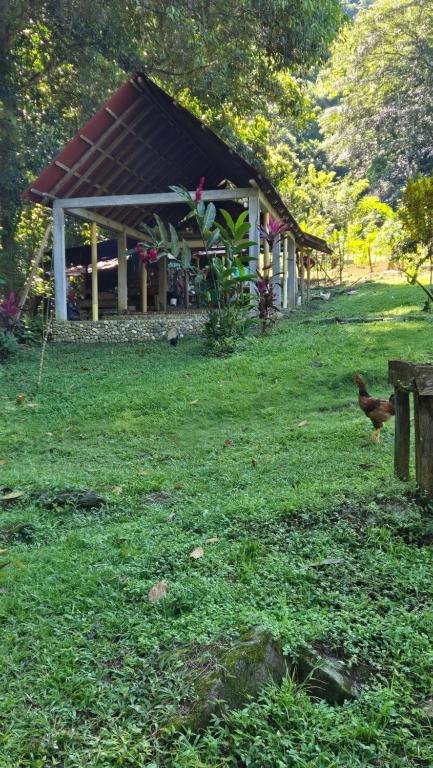 Zahrada ubytování Eco Farmstay Finca Las Aguas