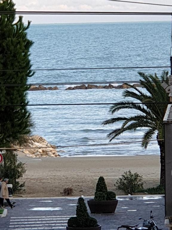 a view of a beach with a palm tree at eleonora in Grottammare