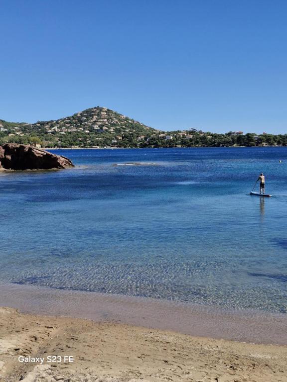 Un homme est debout sur une planche de paddle dans l'eau dans l'établissement La Mer, à Saint-Raphaël