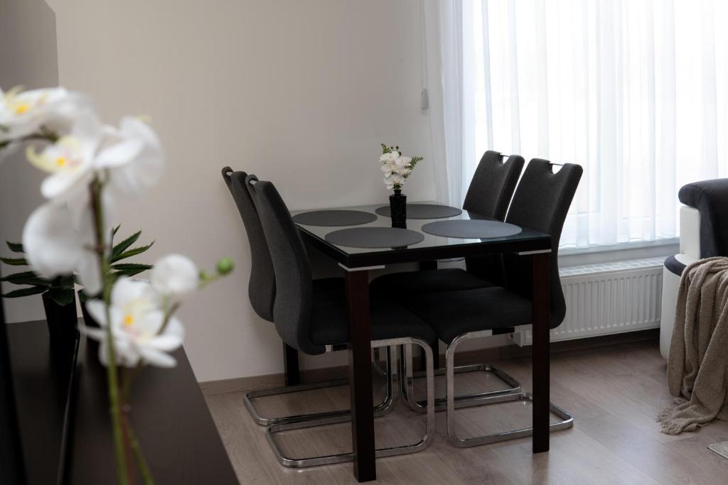 Fotografie z fotogalerie ubytování Exclusive New Apartment by BNB Ostrava CZ, City Centre & Parking v destinaci Slezská Ostrava