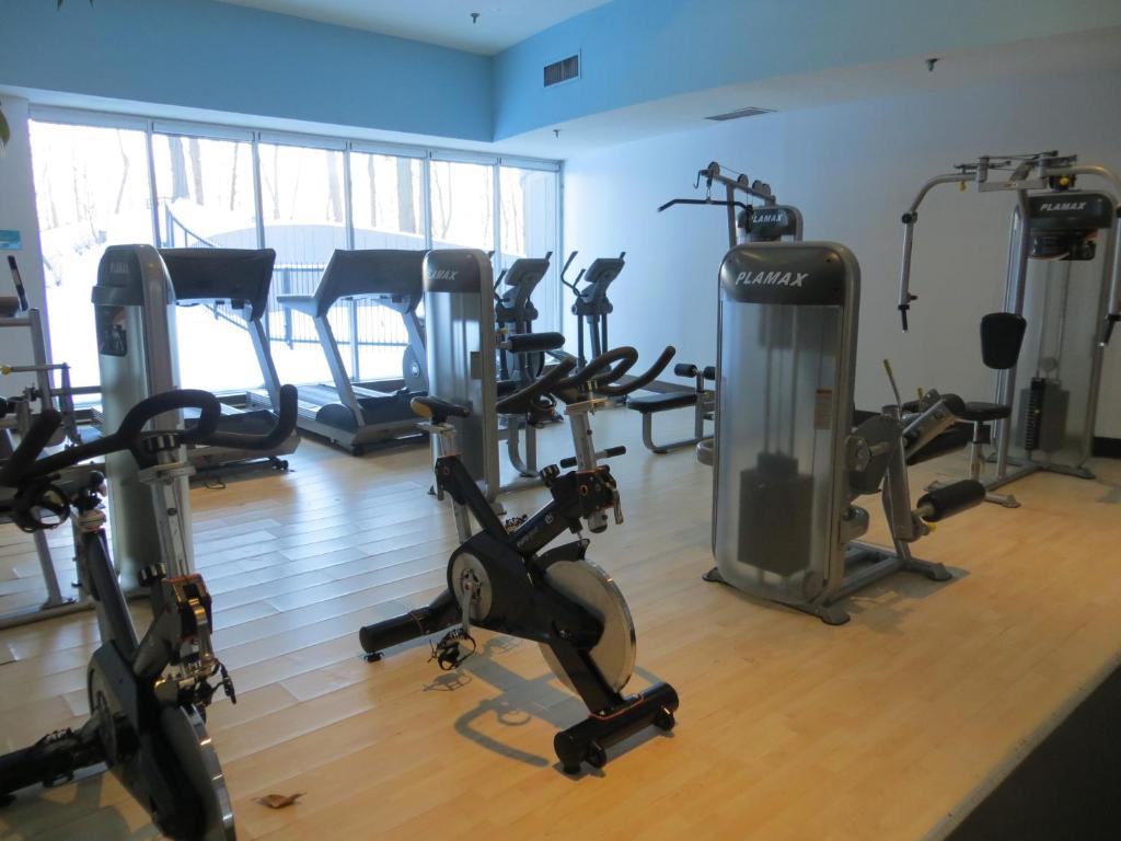 Fitness centrum a/nebo fitness zařízení v ubytování Toronto Don Valley Hotel and Suites
