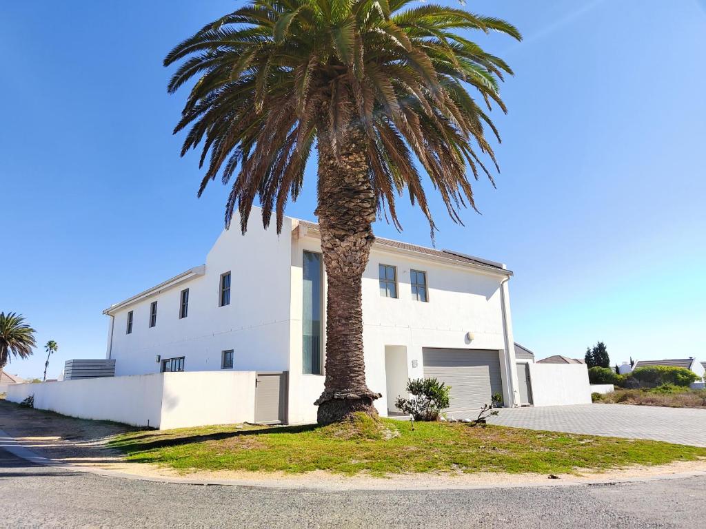 a palm tree in front of a white house at Clarke House in Stompneusbaai