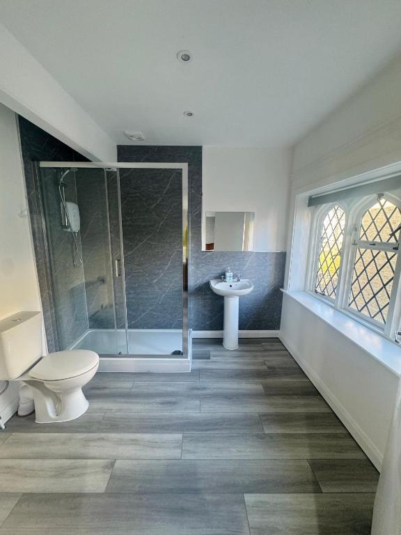 Juniper Berry - Resim 11