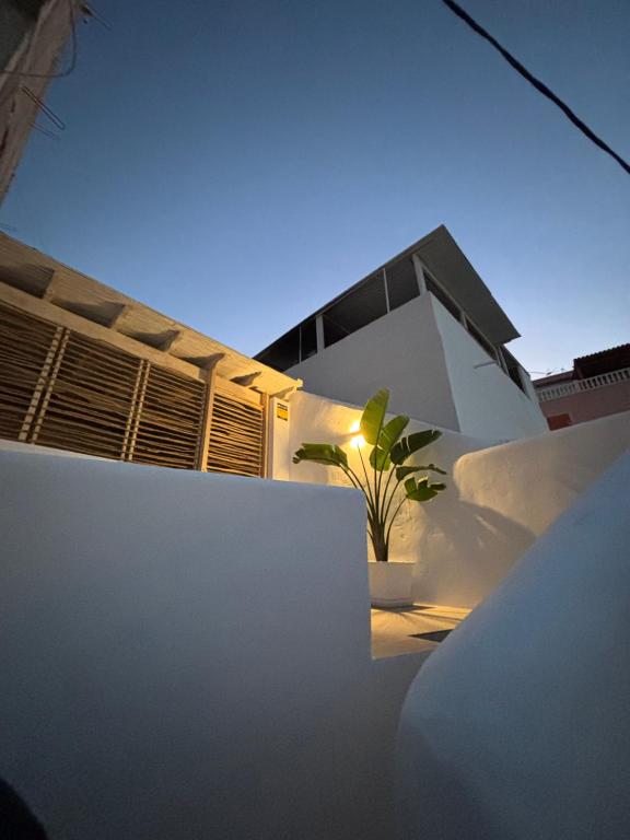 ein weißes Haus mit einer Pflanze davor in der Unterkunft Casa Alcalá 19 in Alcalá
