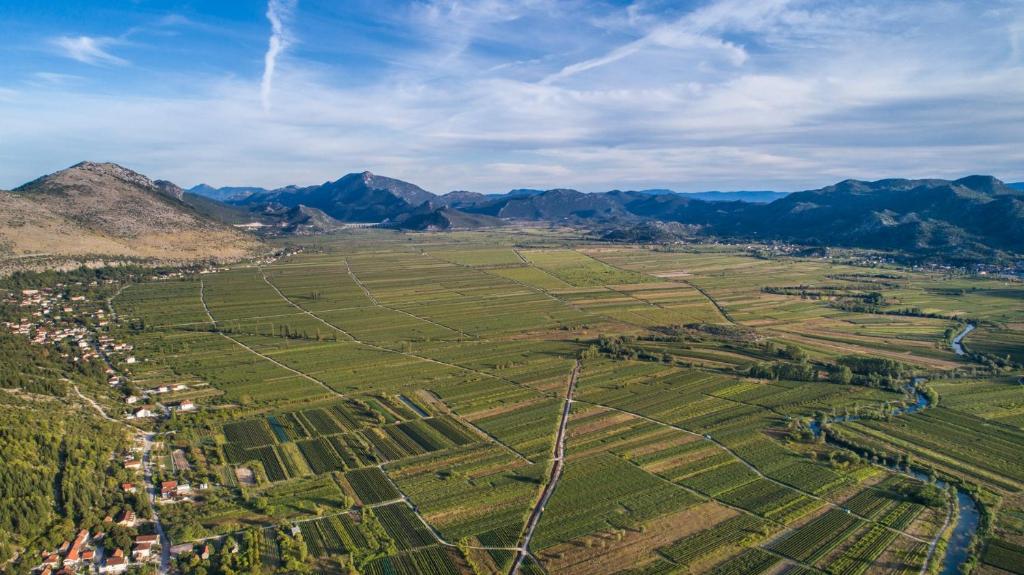 an aerial view of a field with mountains in the background at Villa Granny Nevenka near MAKARSKA in Dusina