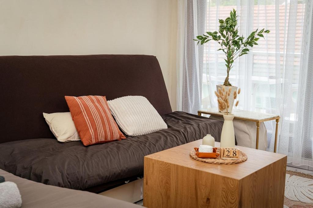 un salon avec un canapé et une table basse dans l'établissement Le Cocon Du Lac, à Annecy