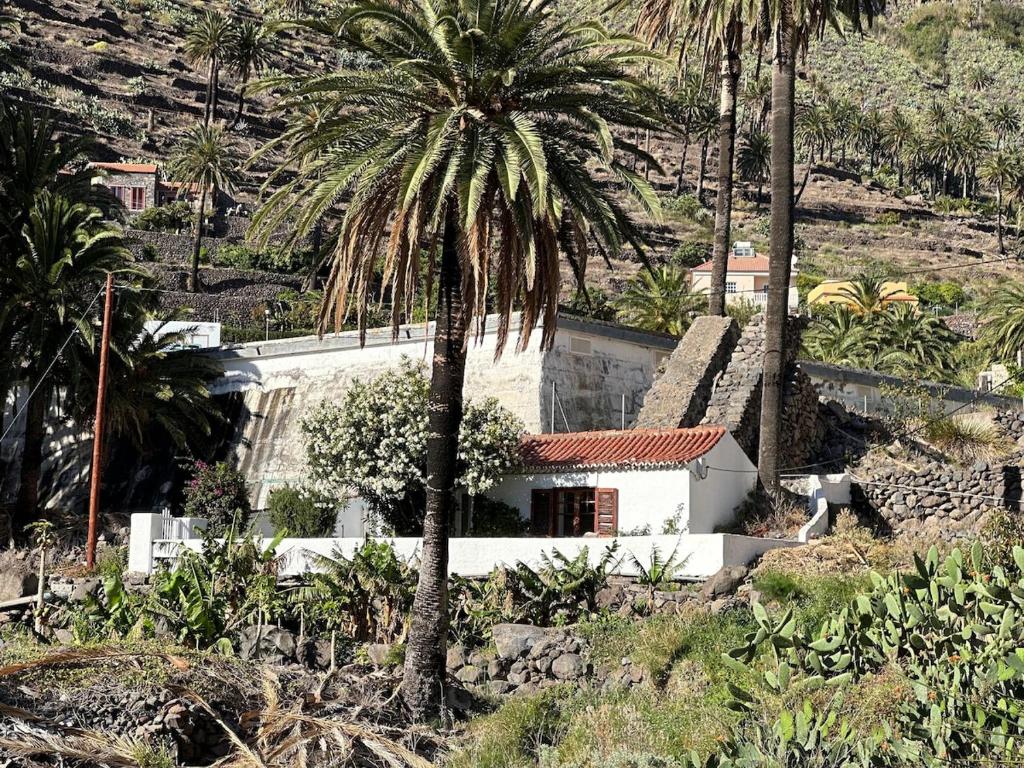 a house with a palm tree in front of a mountain at Casita El Molino im grünen Valle Gran Rey in Valle Gran Rey