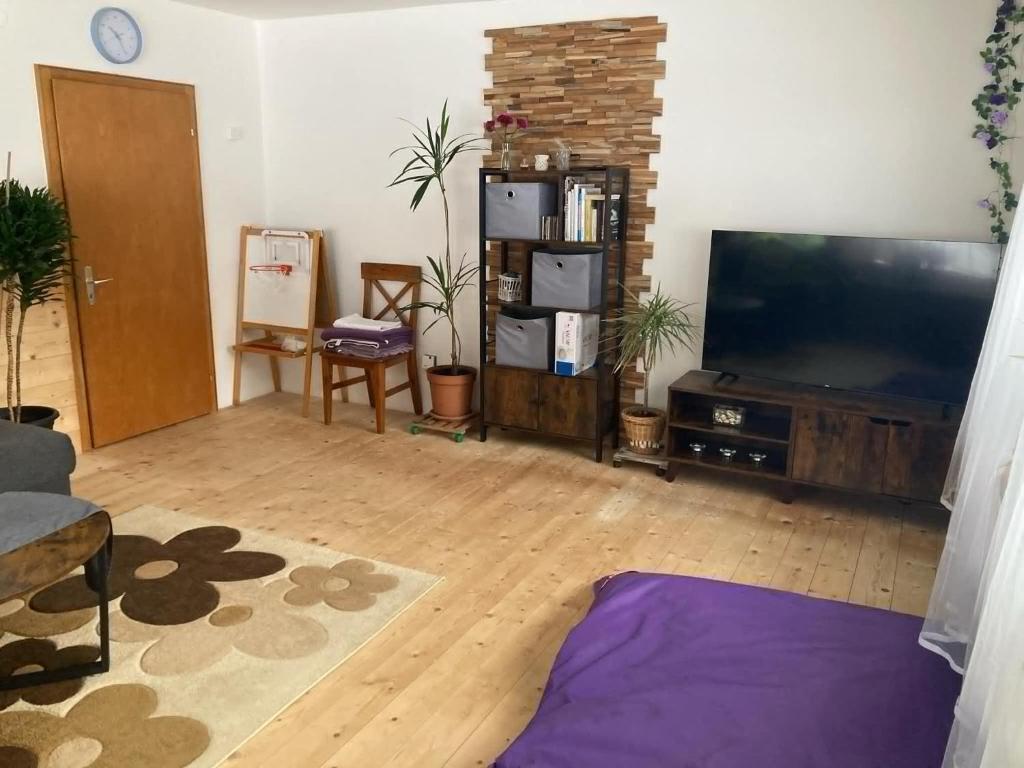 TV a/nebo společenská místnost v ubytování F&F Apartment