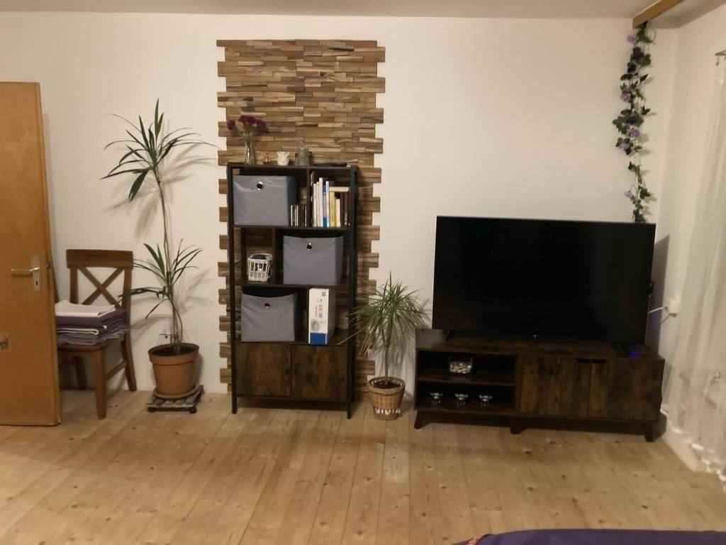 TV a/nebo společenská místnost v ubytování F&F Apartment