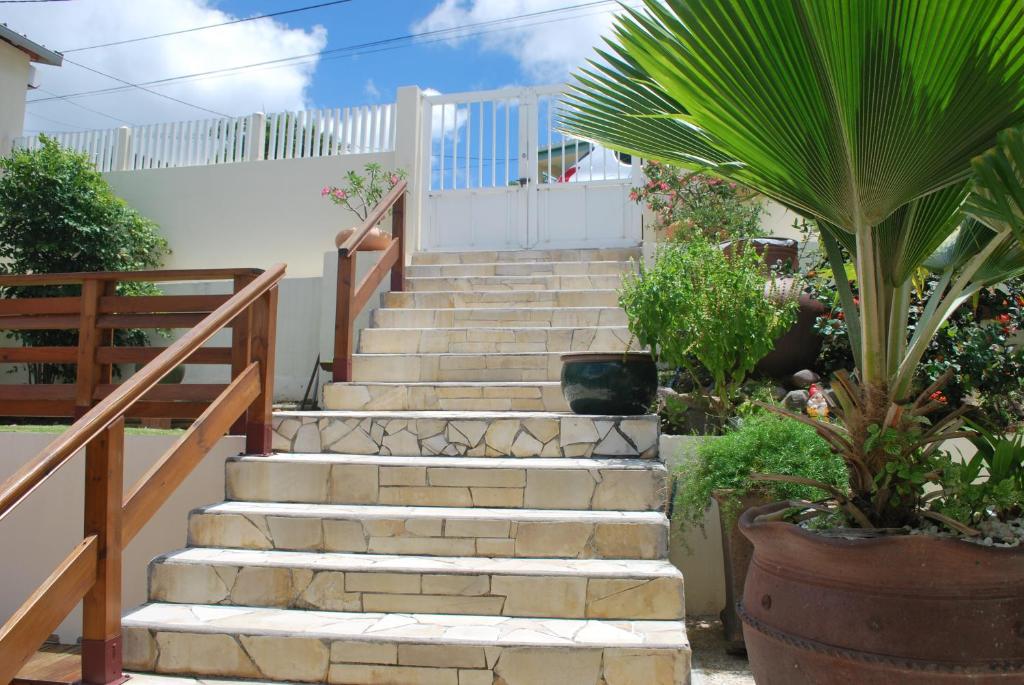 舍尔谢Vue sur Mer Caprices de l'Ombre的植物堆积在院子里的楼梯