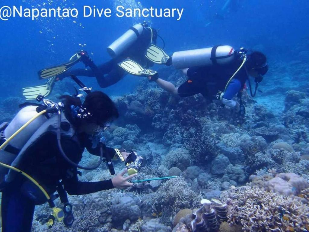 Photo from Leyte Dive Resort in Malitbog, Visayas, Philippines