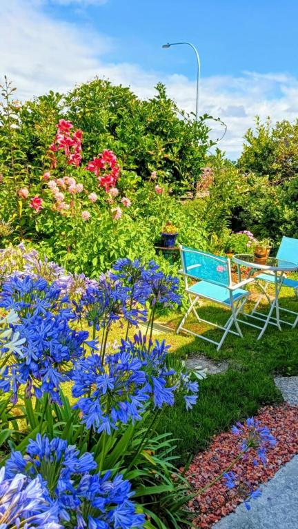 Zahrada ubytování B&B on Bealey