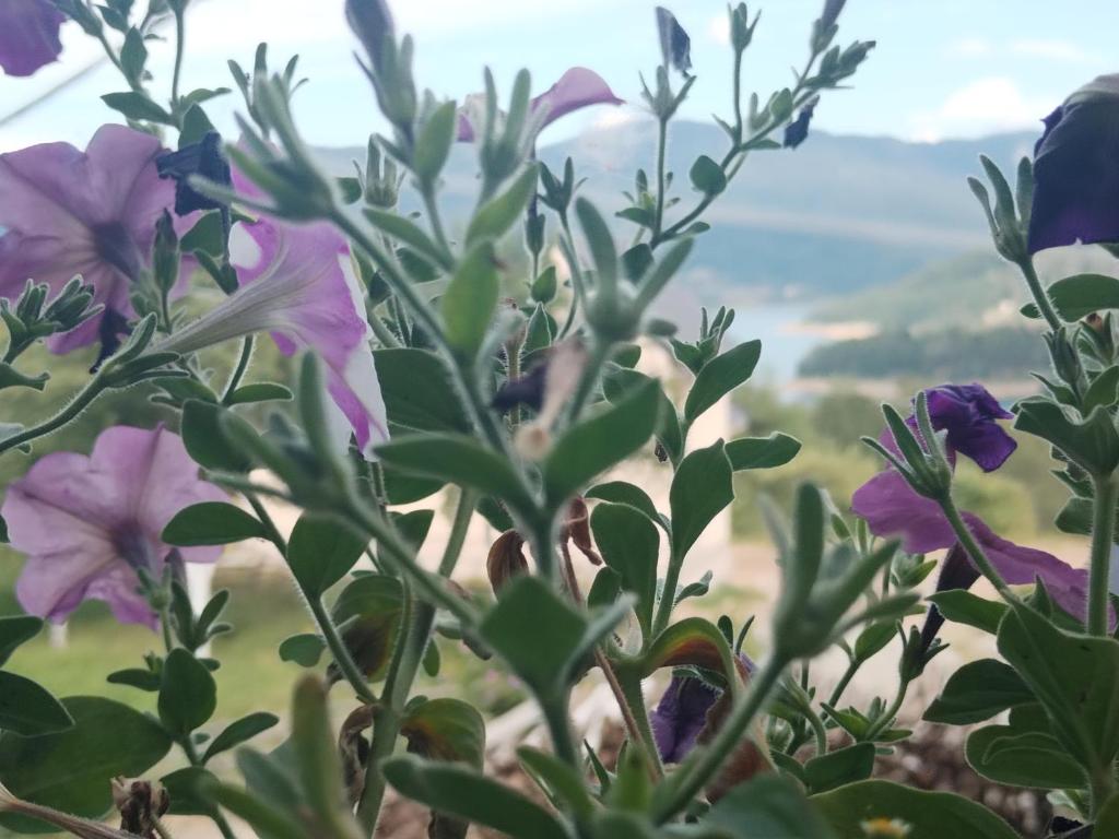Γενική θέα στο βουνό ή θέα στο βουνό από  αυτή η παραθεριστική κατοικία