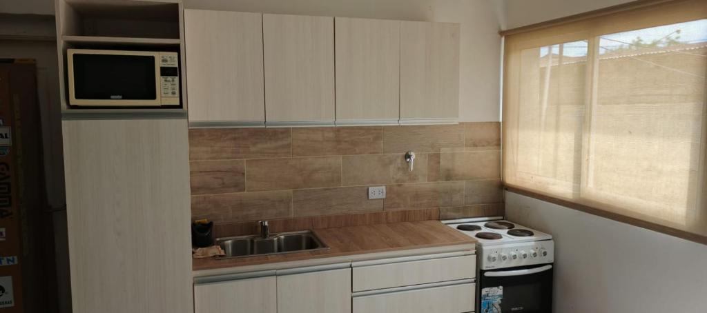 a kitchen with a sink and a stove and a microwave at Casa y Departamento en Centenario in Centenario