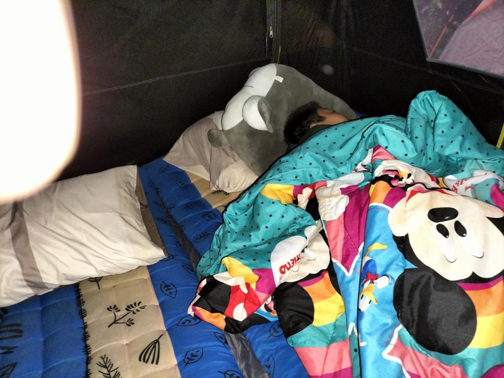 Postel nebo postele na pokoji v ubytování THONG HOME CAMPs