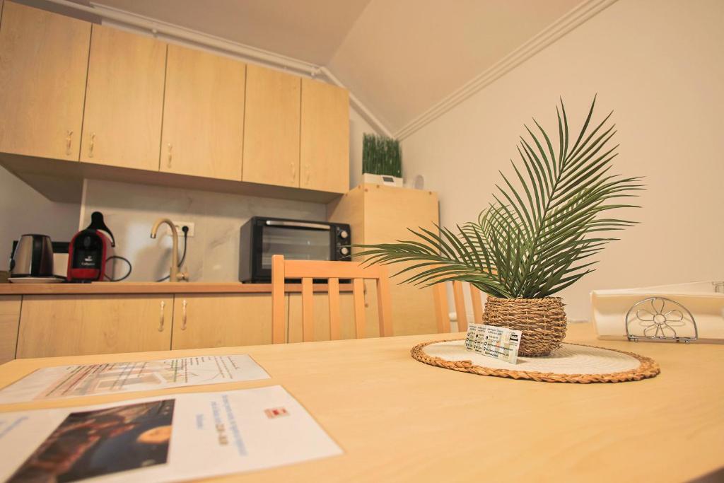 Apartament 2 Bucatarie