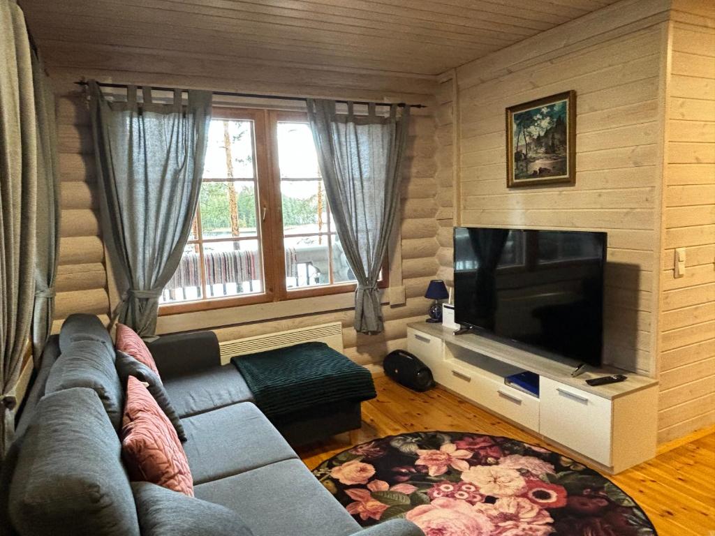 TV a/nebo společenská místnost v ubytování Villa Norppa