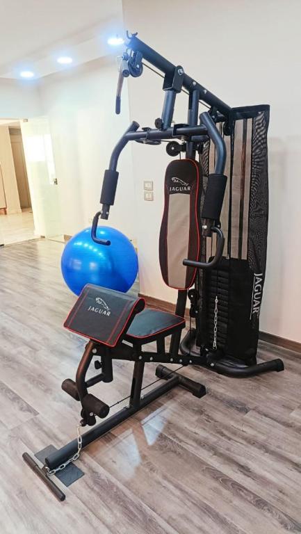 Fitness centrum a/nebo fitness zařízení v ubytování Luxury Accommodation