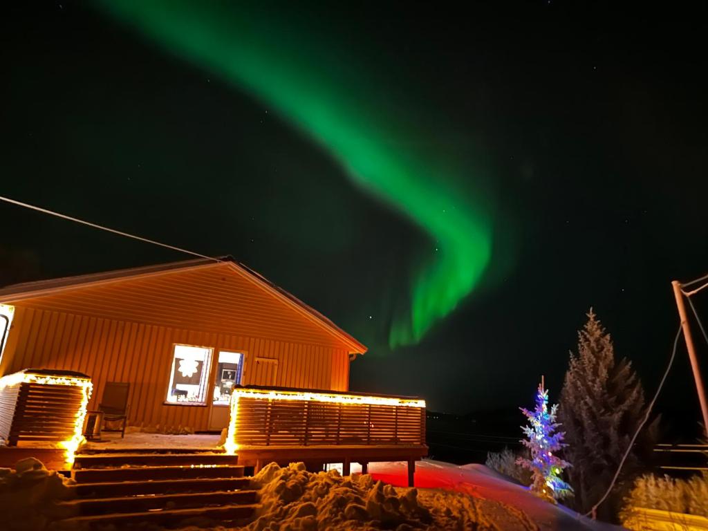 a cabin with the aurora in the sky at Senja Peak Panorama in Straumstad
