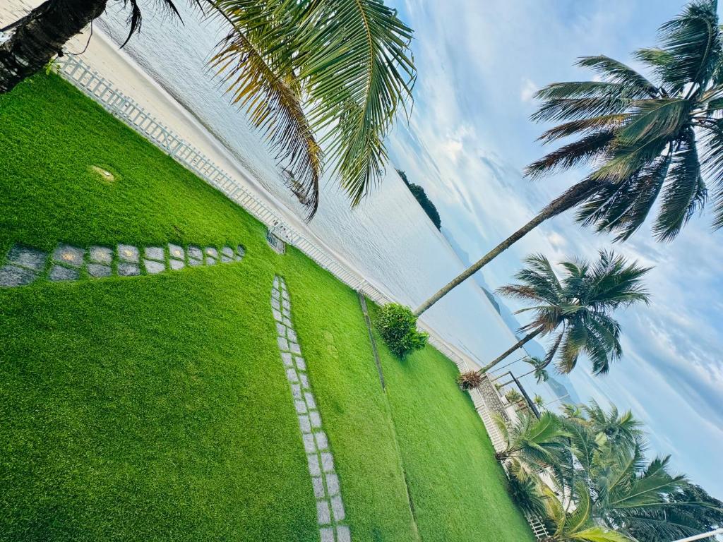 un champ verdoyant avec des palmiers et un palmier dans l'établissement Casa beira mar Angra dos Reis, à Angra dos Reis