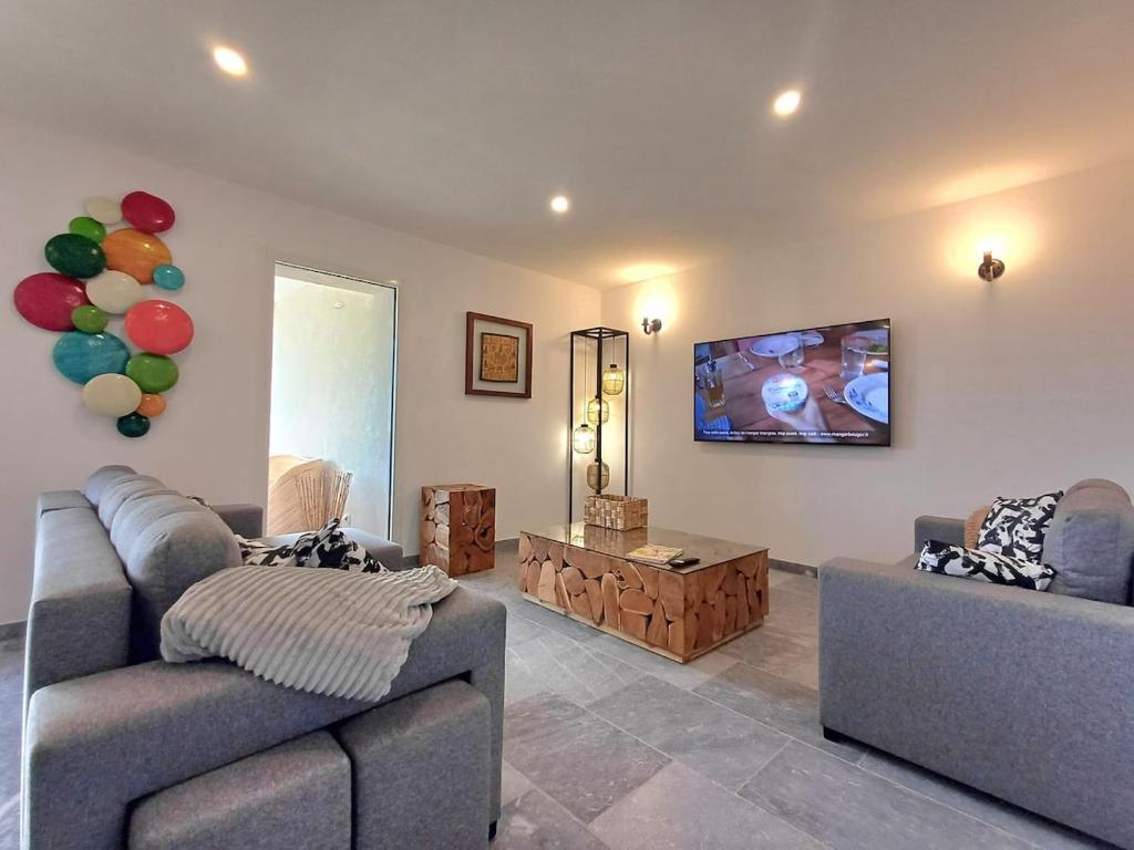 Una sala de estar con dos sofás y un televisor de pantalla plana. en T3, 8 couchages, grande terrasse, vue mer, parking privé, en La Ciotat