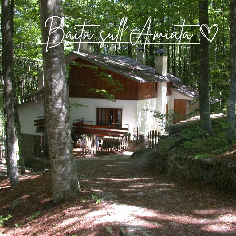 a small white house in the woods at Baita Amiata in Monte Amiata