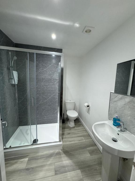 Juniper Berry - Resim 35