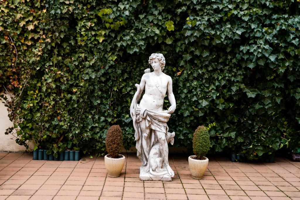 Zahrada ubytování Rosen Villa Sibiu