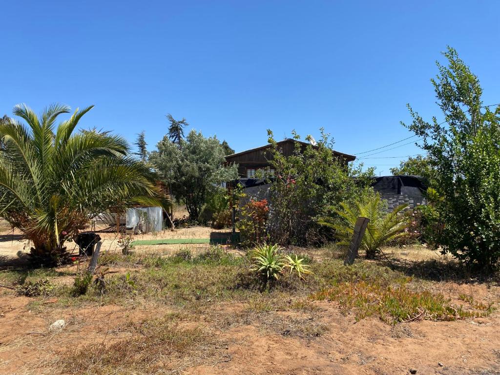 Zahrada ubytování Cabaña con Piscina Guanaqueros
