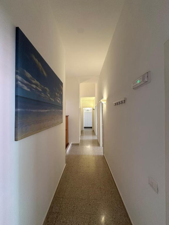 Plaza Apartment - 19