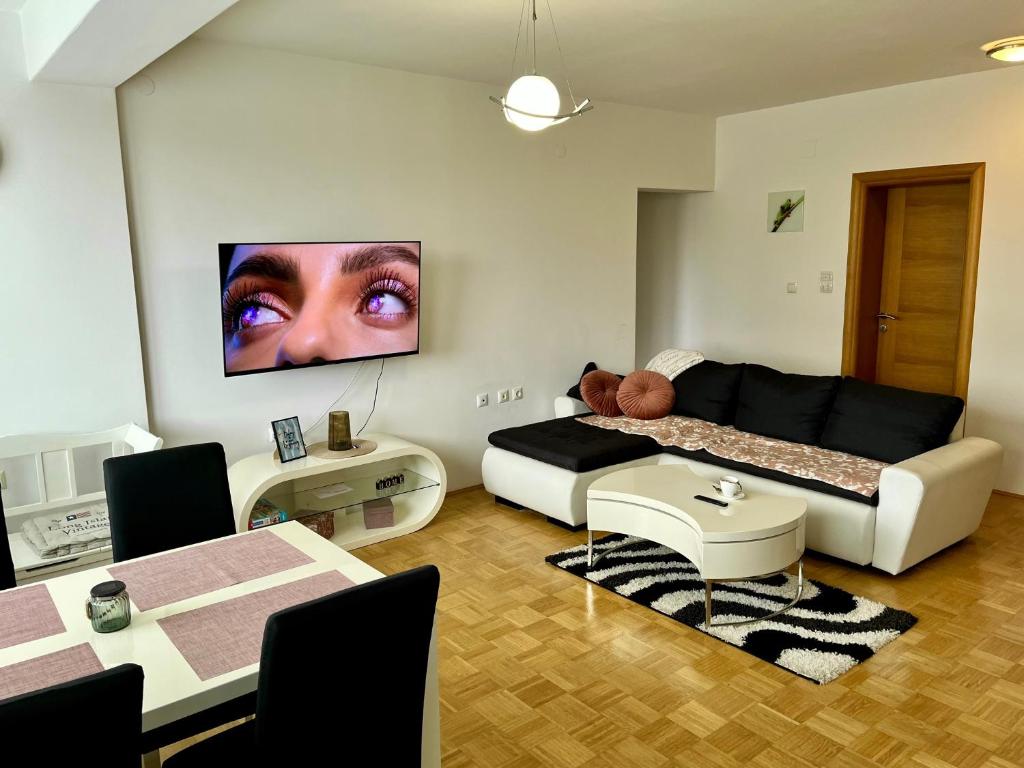 TV a/nebo společenská místnost v ubytování City Apartment Lukavac