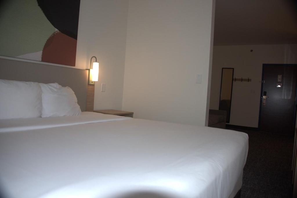 Postel nebo postele na pokoji v ubytování Spark by Hilton Amarillo East
