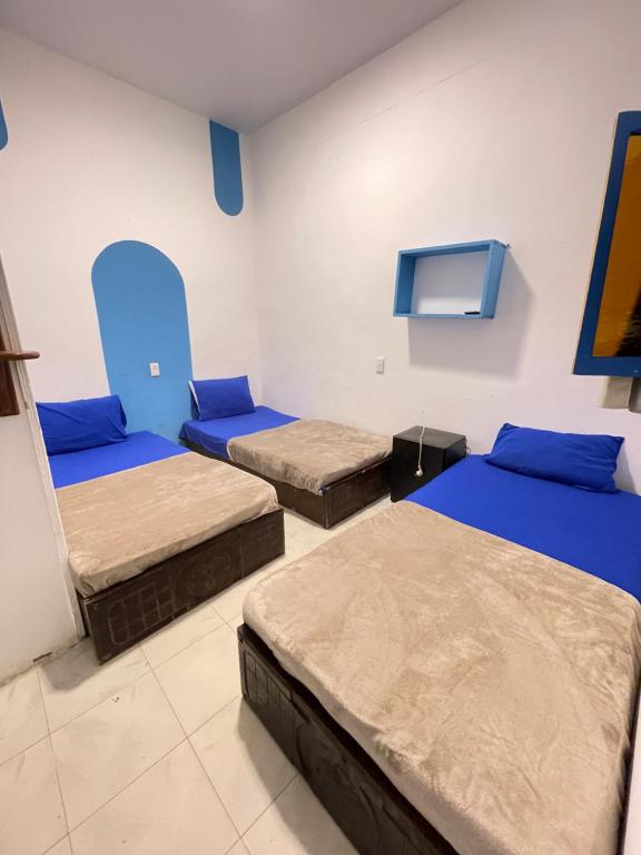 Postel nebo postele na pokoji v ubytování whales camp dahab
