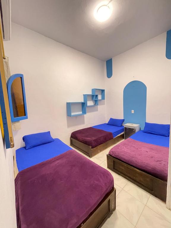 Postel nebo postele na pokoji v ubytování whales camp dahab