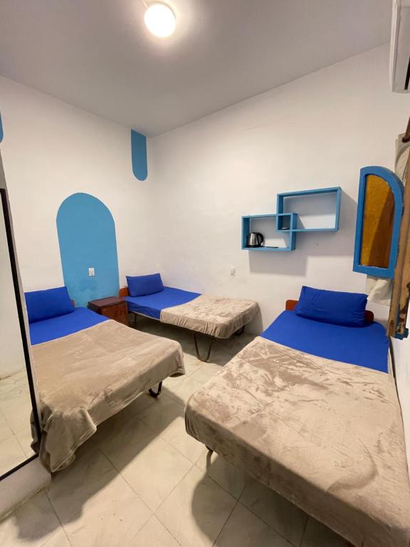 Postel nebo postele na pokoji v ubytování whales camp dahab