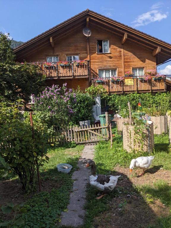 Zahrada ubytování Die Älplersuit im Backpacker - Berghüsli -ganz einfach - ganz unkompliziert-ganz relaxd
