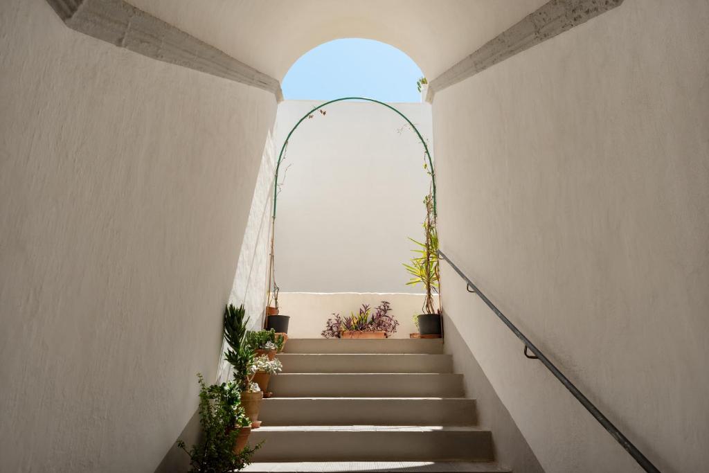 Zdjęcie z galerii obiektu Palazzo De Tomasi B&B w mieście Gallipoli